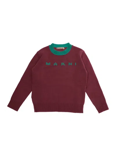 Marni Kids Mini Wool-cashmere Crewneck Long-sleeve Sweater In Burgundy