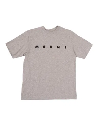 Marni Kids Mt135u Maglietta In Gray
