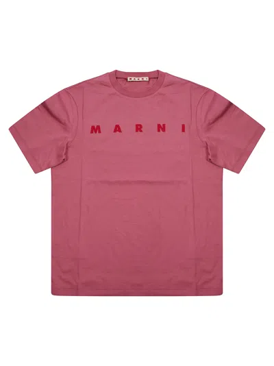 Marni Kids Mt290f T-shirt For Fall 2026 In Pink