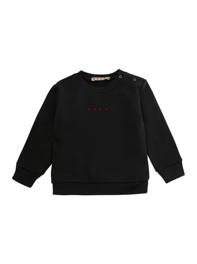 Marni Kids Unisex Baby Mini Logo Cotton Crewneck Sweatshirt In Black