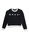 Marni Trimmed Intarsia Jumper In Black