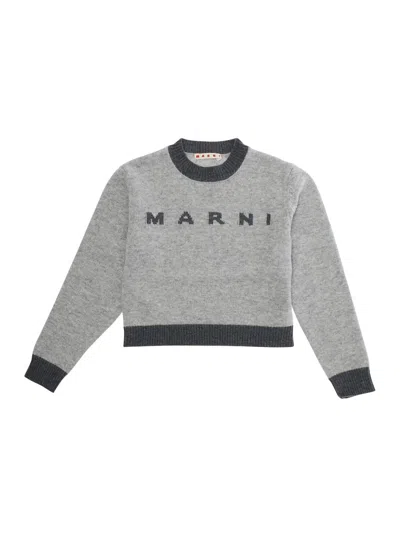 Marni Kids' Knitwear In Gray