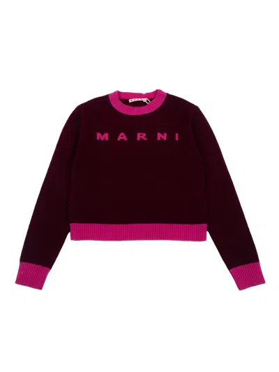 Marni L And Cashmere Sweater With Logo Kids In Brown