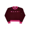 Marni L And Cashmere Sweater With Logo Kids In Brown