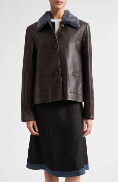 Marni Leather Jacket With Genuine Shearling Collar In Brown
