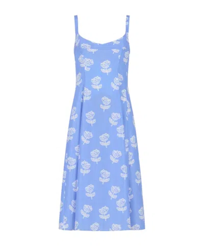 Marni Light Blue Poplin Flared Dress With Sprayed Roses Print
