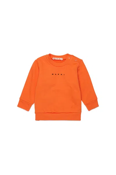 Marni Kids'  Logo Crew-neck Sweatshirt In Orange