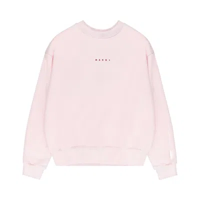 Pre-owned Marni Logo Crewneck Sweatshirt 'pink' | Women's Size 46