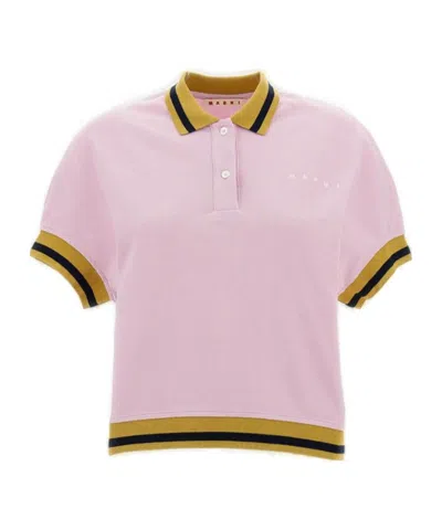 Marni Logo Embroidered Stripe-detail Polo Shirt In Pink