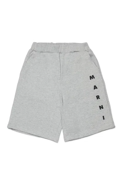 Marni Kids' Logo Fleece Shorts In Gray
