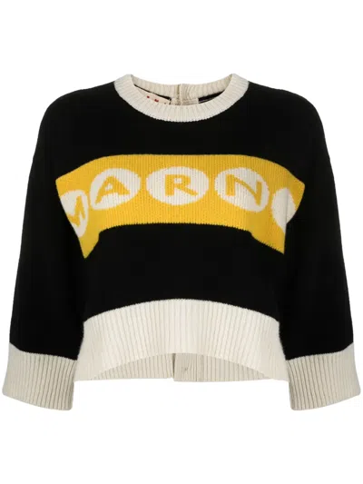 Marni Cropped Knit In Multi