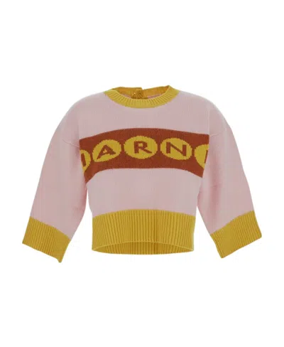 Marni Logo-intarsia Cropped Jumper In Nude