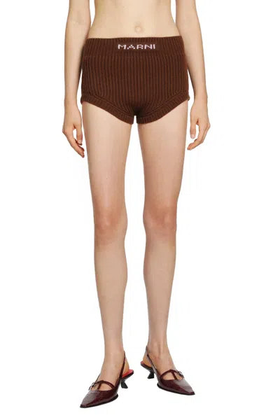 Marni Logo Mini Shorts In Animal Print