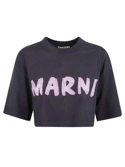 Marni Logo Organic Cotton T-shirt In Blue/black