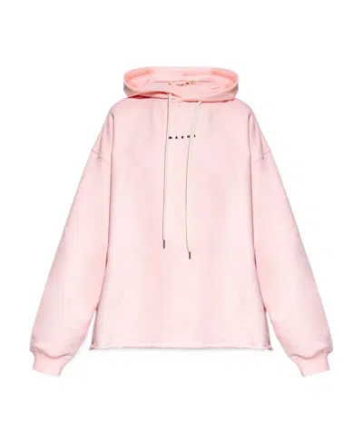 Marni Logo-print Cotton Hoodie In Pink