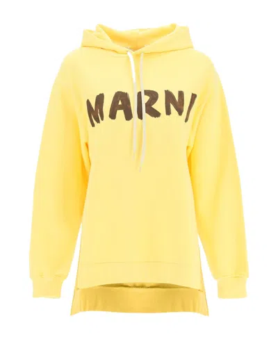 Marni Logo-print Cotton Hoodie In Yellow
