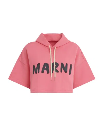 Marni Logo-print Short-sleeve Hoodie In Pink
