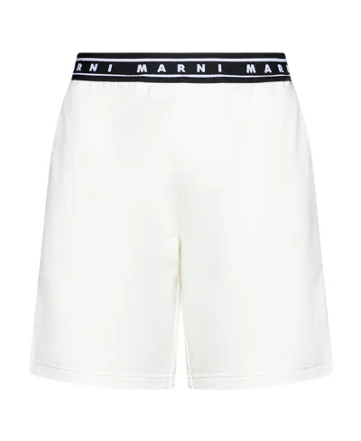 MARNI MARNI LOGO WAISTBAND SHORTS
