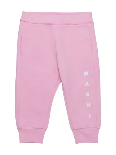 Marni Babies' Logo-print Track Pants In Pink