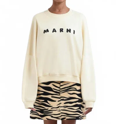 Marni Logo Printed Cotton Crewneck T-shirt In Ivory In Multi