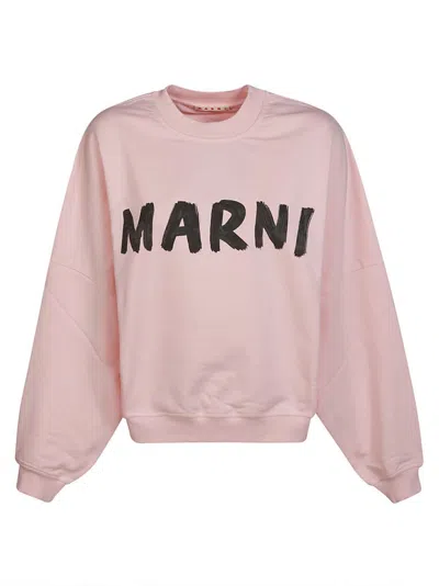 Marni Logo Printed Crewneck Sweatshirt In Pink