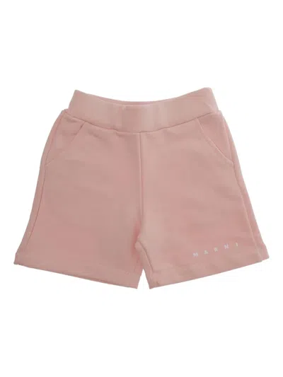 Marni Babies' Logo Shorts In Pink