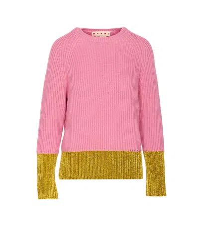 MARNI LOGO SWEATER