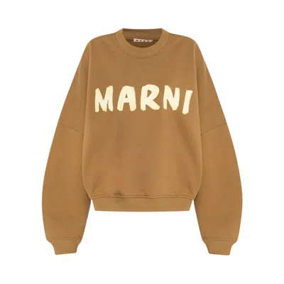 Pre-owned Marni Logo Sweatshirt 'olive' | Tan | Women's Size 44 In Brown