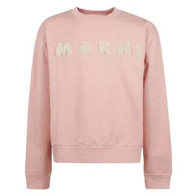 Marni Pink Organic Cotton Sweatshirt