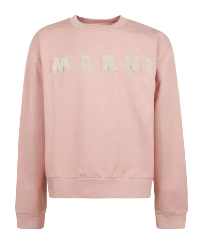 Marni Logo Sweatshirt In Pink