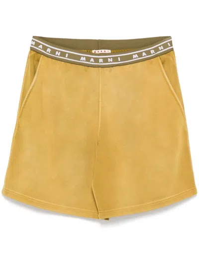 Marni Logo-waistband Shorts In Green