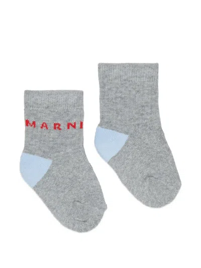 Marni Babies' Logo-intarsia Socks In Gray
