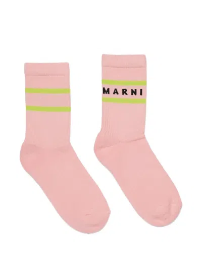 Marni Babies' Logo-intarsia Striped Socks In Pink
