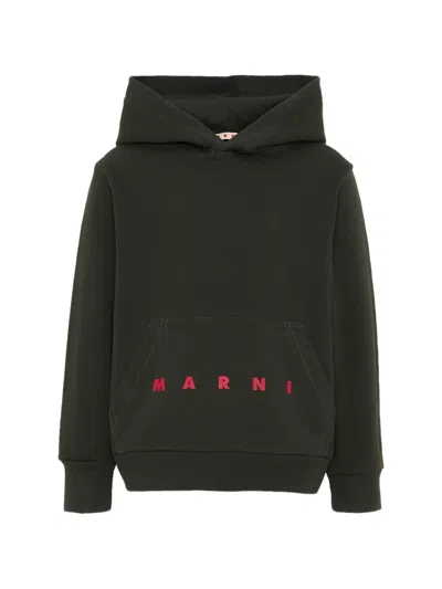 Marni Kids' Logo-print Cotton Hoodie In Green