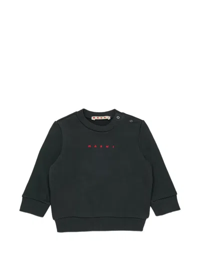 Marni Babies' Logo-print Shoulder-button Sweatshirt In Black