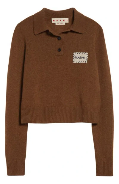 Marni Long Sleeve Cashmere Polo In Brown