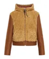 Marni Hooded Panelled Jacket In Brown