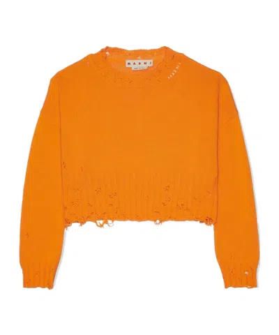 Marni Long Sleeved Short Sweater In Orange