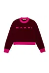 Marni Maglione Girocollo In Misto Lana-cashmere Colorblock In Pink