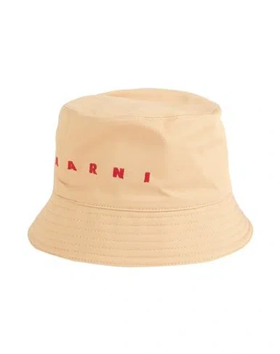 Marni Man Hat Beige Size S Cotton In Sand