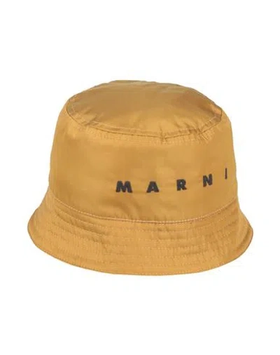 Marni Man Hat Camel Size M Polyamide In Brown