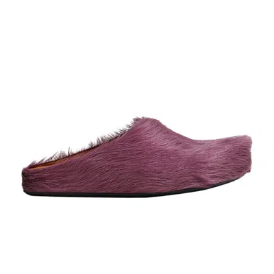 Pre-owned Marni Fussbett Sabot 'prune Violet' | Purple | Men's Size 40