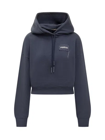 Marni Hoodie In Blue Cotton