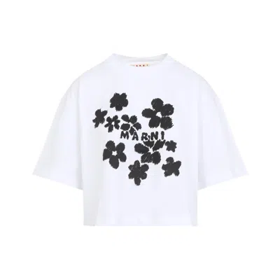 Marni Lily White Cotton T-shirt In Bianco