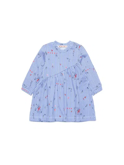 Marni Babies' Md45b In Purple