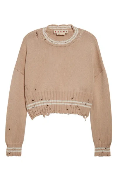 Marni Mending Logo Distressed Cotton Crewneck Sweater In Burgundy