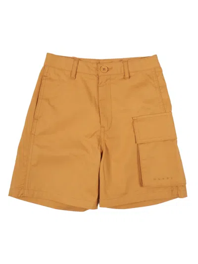 Marni Mp227 U Calzoncini In Brown