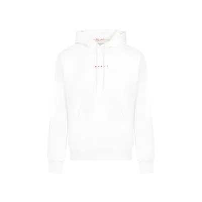 MARNI NATURAL WHITE COTTON SWEATSHIRT