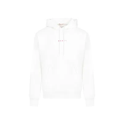 MARNI MARNI NATURAL WHITE COTTON SWEATSHIRT