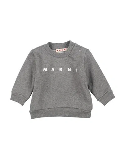 Marni Babies'  Newborn Boy Sweatshirt Grey Size 3 Cotton In Gray